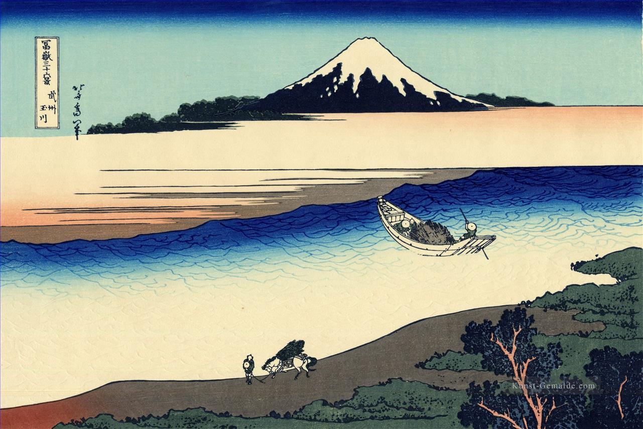 Tama Fluss in der Musashi Provinz Katsushika Hokusai Ukiyoe Ölgemälde